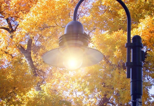 Fall Lamp