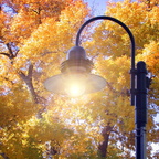 Fall Lamp