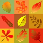 Fall Leaves Graphic Squares