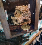 Heater Mouse Nest with Mouse Web