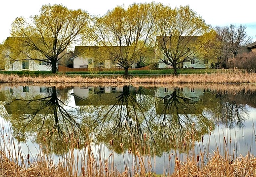 English Ranch Park Pond