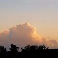 New Day